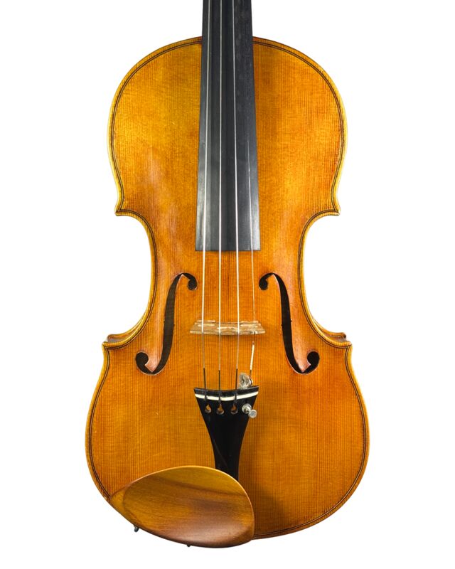 Violino do Autor Thiago Paulino de Oliveira, 2024