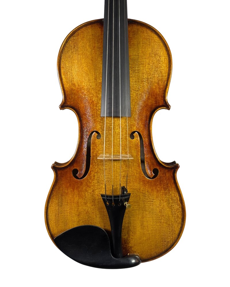Violino do autor Rogério Fagundes, 2024